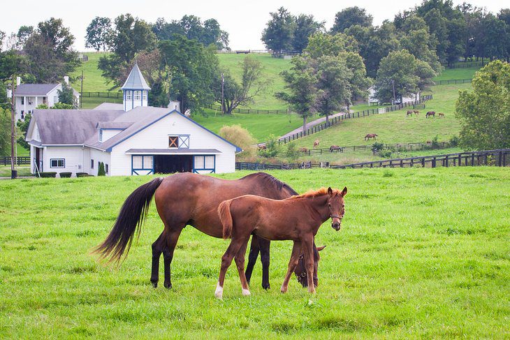 14 Best Places to Visit in Kentucky