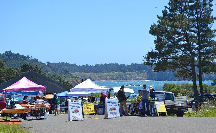 14 Best Things to Do in Mendocino, CA