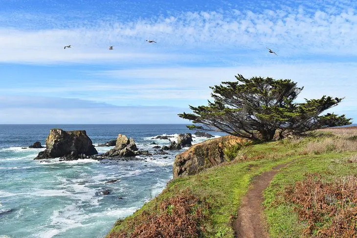 14 Best Things to Do in Mendocino, CA