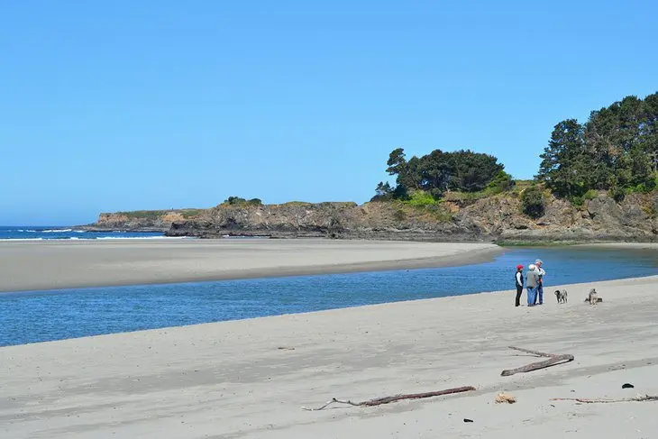 14 Best Things to Do in Mendocino, CA