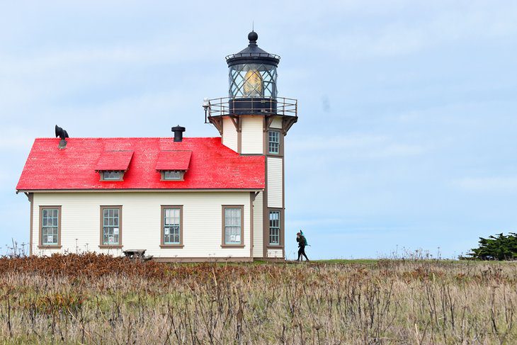 14 Best Things to Do in Mendocino, CA