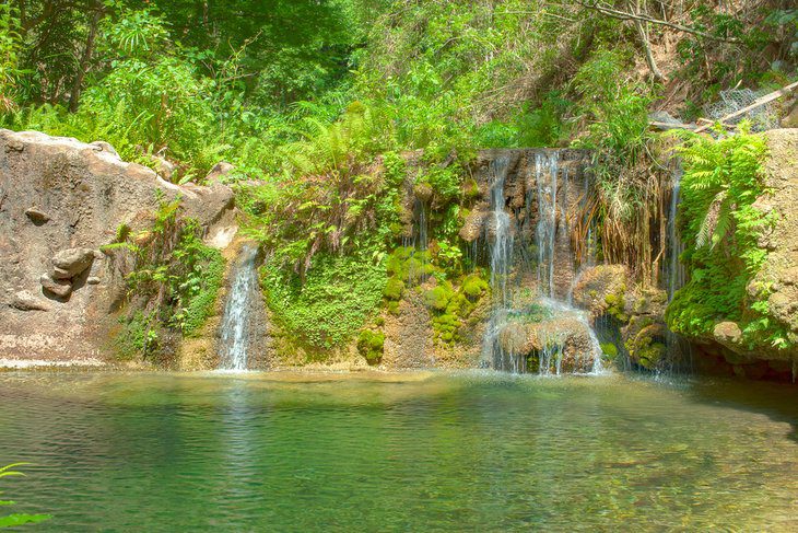 14 Best Waterfalls in Jamaica