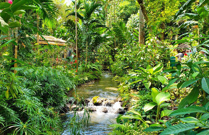 14 Best Waterfalls in Jamaica