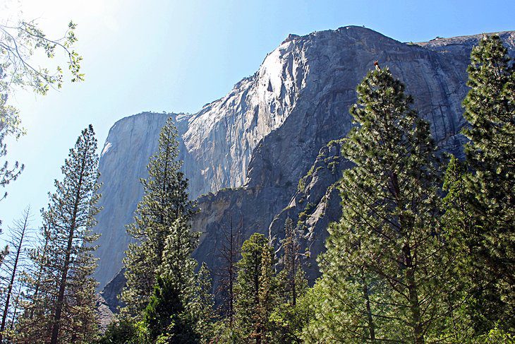 14 Top Attractions & Things to Do in Yosemite National Park