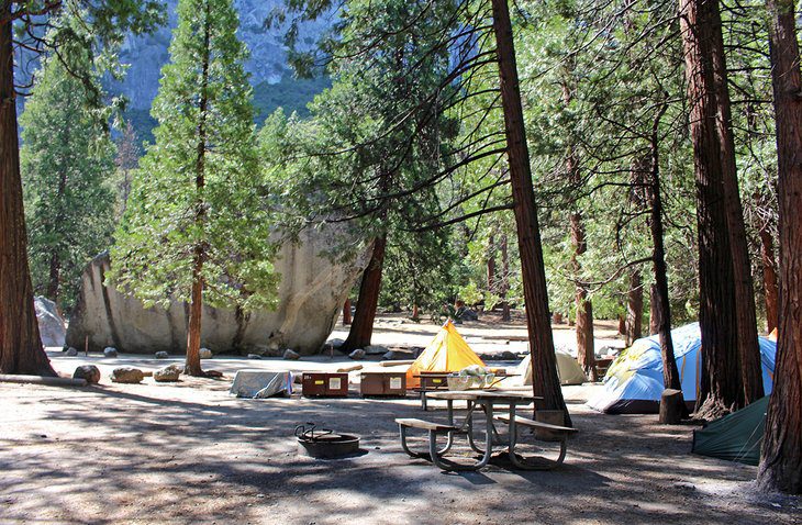 14 Top Attractions & Things to Do in Yosemite National Park