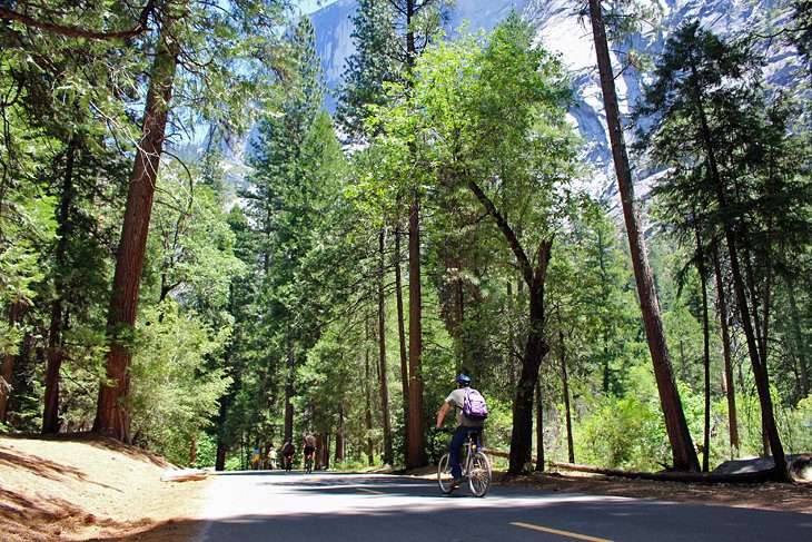 14 Top Attractions & Things to Do in Yosemite National Park