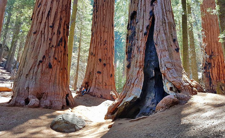 14 Top Attractions & Things to Do in Yosemite National Park