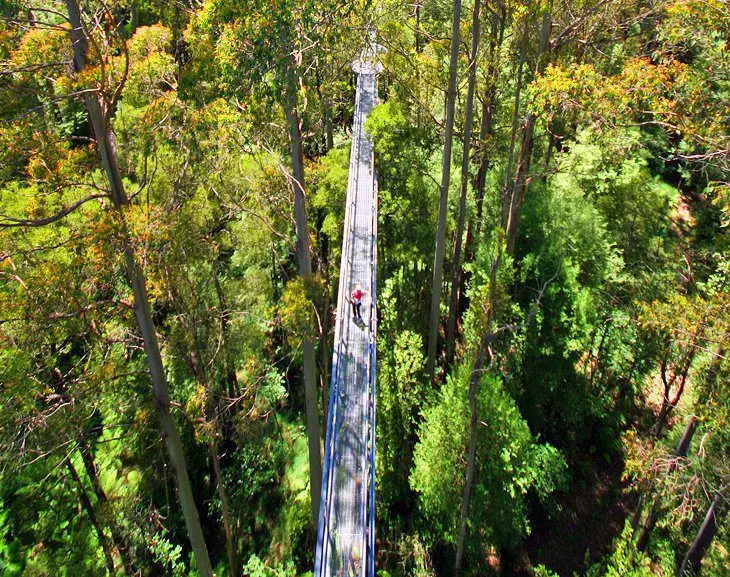 14 Top Attractions & Things to Do on the Great Ocean Road