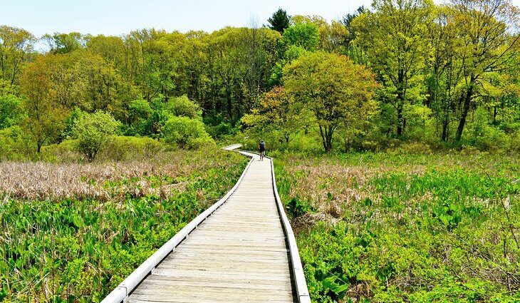 14 Top Hiking &#038; Walking Trails near Boston