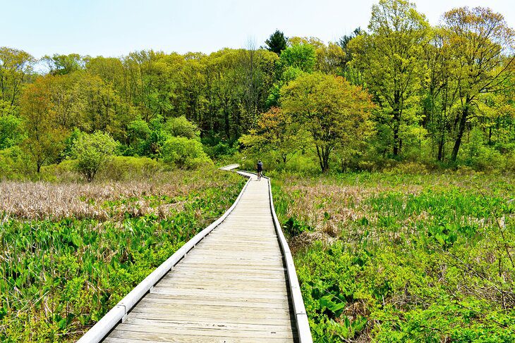 14 Top Hiking & Walking Trails near Boston