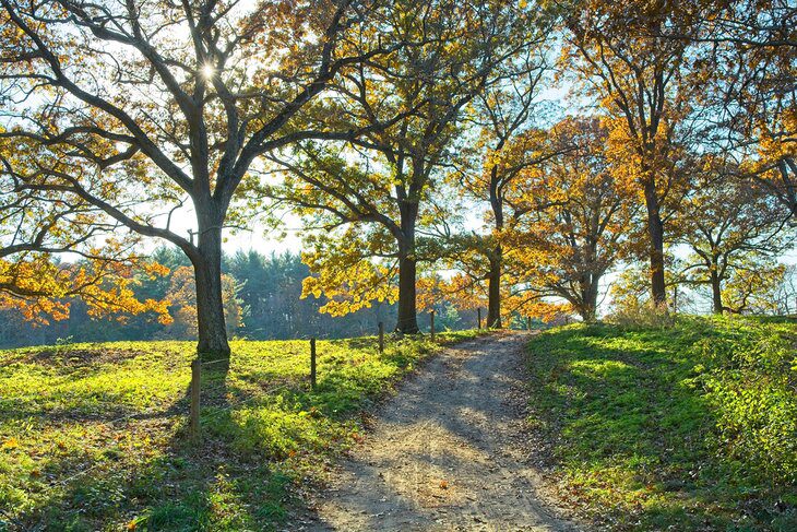 14 Top Hiking & Walking Trails near Boston