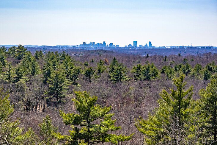 14 Top Hiking & Walking Trails near Boston