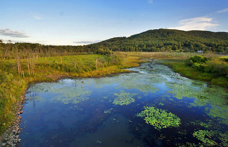 14 Top Hiking & Walking Trails near Boston