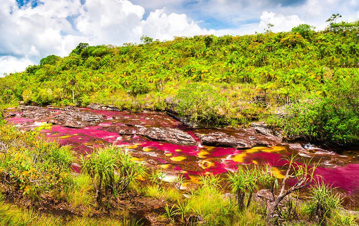 14 Top-Rated Attractions & Places to Visit in Colombia