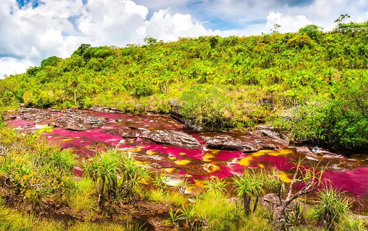 14 Top-Rated Attractions & Places to Visit in Colombia