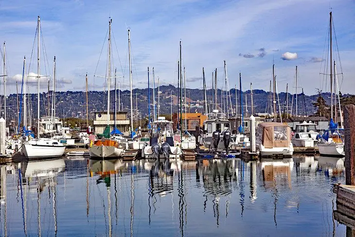 14 Top-Rated Attractions & Things to Do in Berkeley, CA