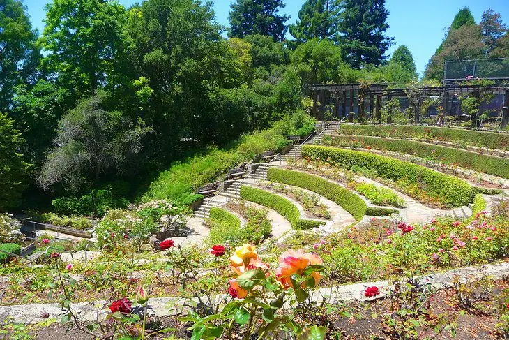 14 Top-Rated Attractions & Things to Do in Berkeley, CA