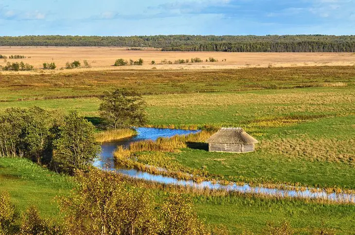 14 Top-Rated Attractions & Things to Do in Estonia