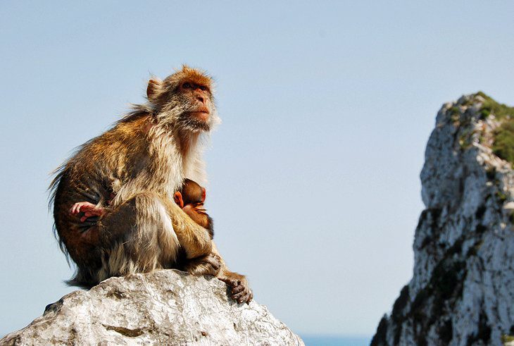 14 Top-Rated Attractions & Things to Do in Gibraltar