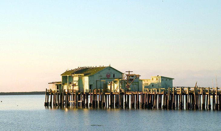 14 Top-Rated Attractions & Things to Do in Half Moon Bay