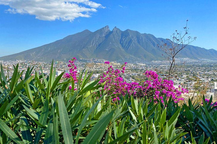 14 Top-Rated Attractions & Things to Do in Monterrey, Mexico