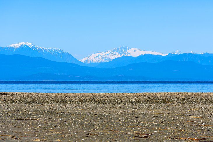 14 Top-Rated Attractions & Things to Do in Parksville, BC