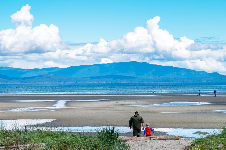 14 Top-Rated Attractions & Things to Do in Parksville, BC