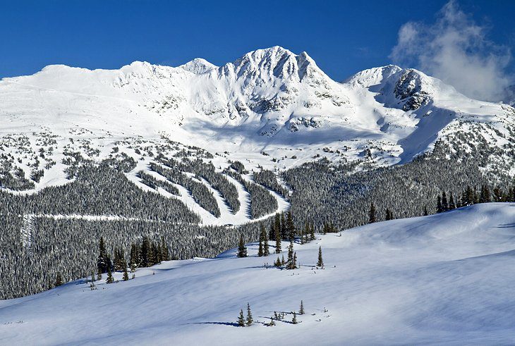 14 Top-Rated Attractions & Things to Do in Whistler