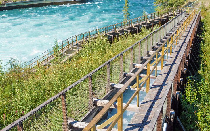 14 Top-Rated Attractions & Things to Do in Whitehorse