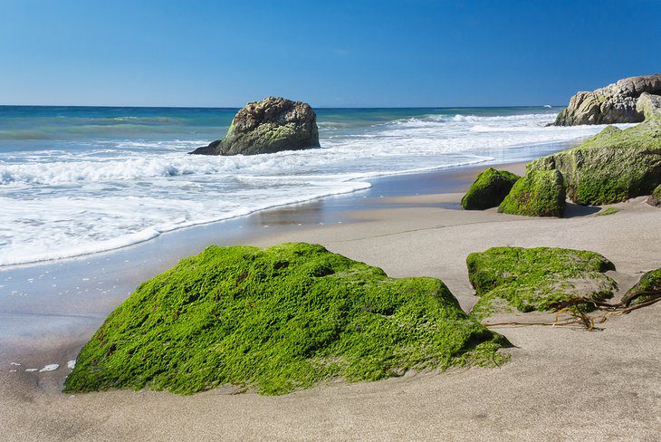 14 Top-Rated Beaches in Los Angeles, CA