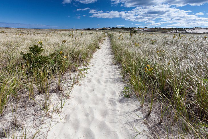 14 Top-Rated Beaches in New England