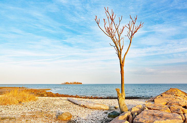 14 Top-Rated Beaches in New England