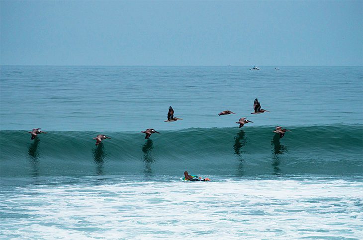 14 Top-Rated Beaches in San Diego, CA