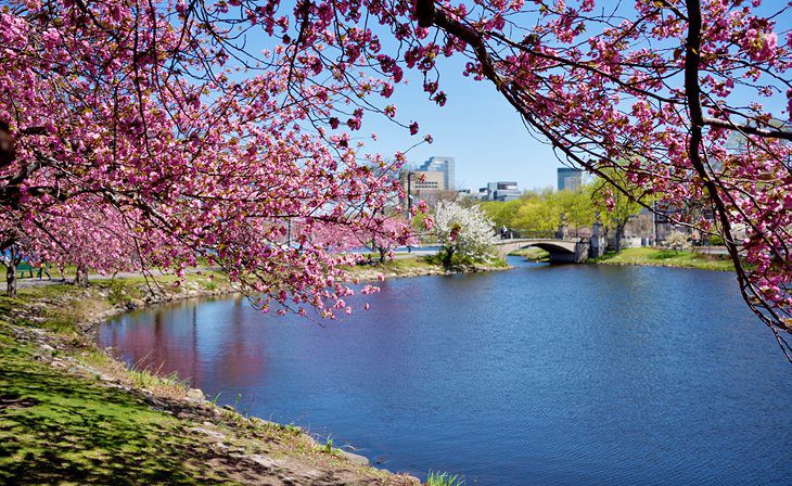 14 Top-Rated Beaches in the Boston Area