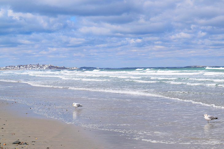 14 Top-Rated Beaches in the Boston Area