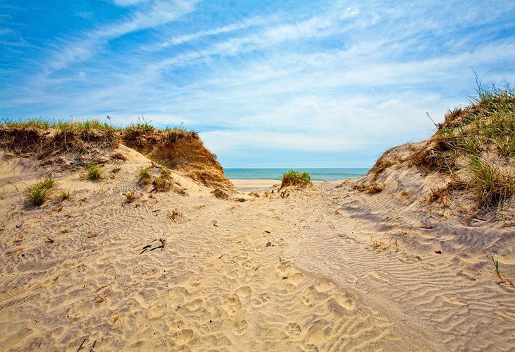 14 Top-Rated Beaches in the Hamptons