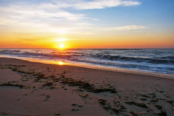 14 Top-Rated Beaches in the Hamptons