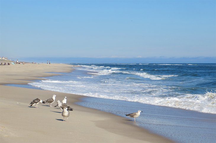 14 Top-Rated Beaches in the Hamptons