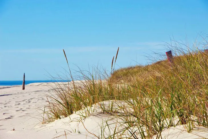 14 Top-Rated Beaches in the Hamptons