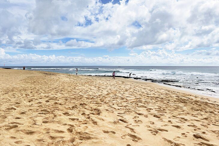 14 Top-Rated Beaches in the Honolulu Area