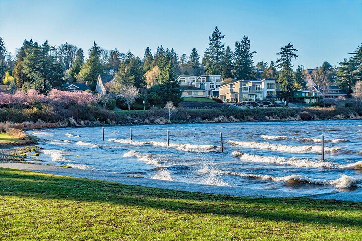 14 Top-Rated Beaches in the Seattle Area