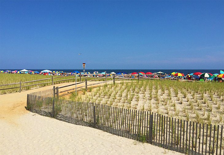 14 Top-Rated Beaches near Philadelphia