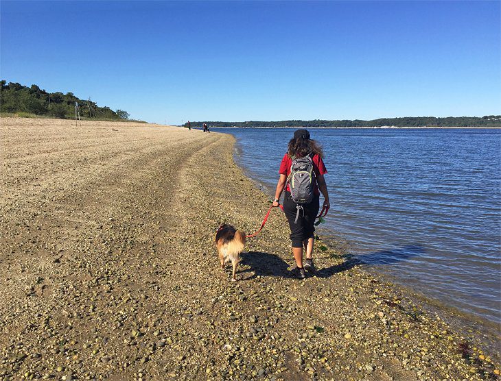 14 Top-Rated Beaches on Long Island, NY