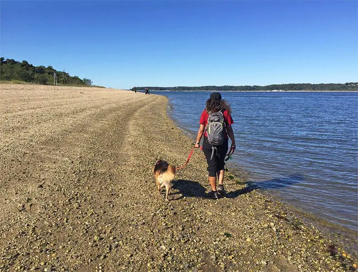 14 Top-Rated Beaches on Long Island, NY