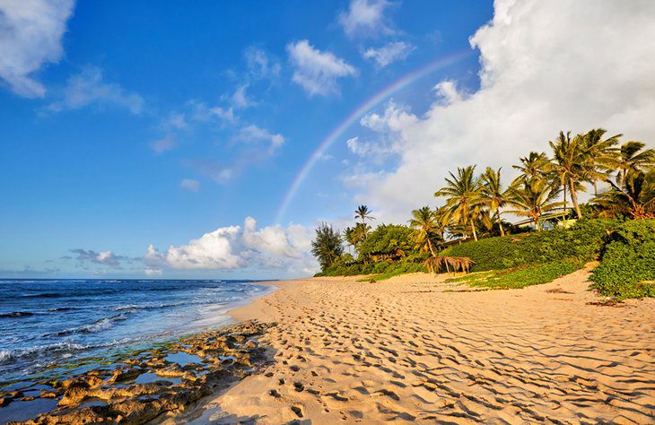 14 Top-Rated Beaches on Oahu, HI