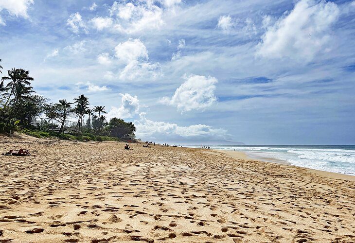 14 Top-Rated Beaches on Oahu, HI