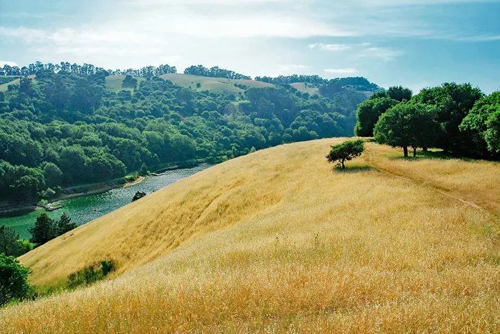 14 Top-Rated Campgrounds near San Francisco, CA