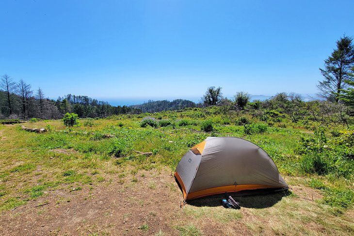 14 Top-Rated Campgrounds near San Francisco, CA