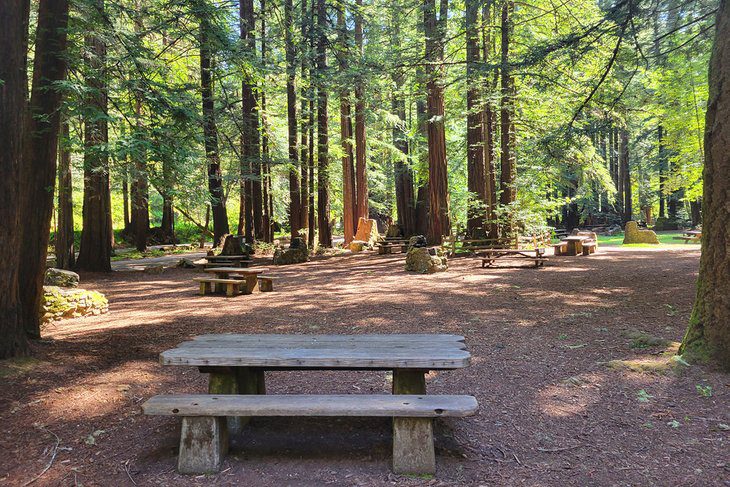 14 Top-Rated Campgrounds near San Francisco, CA