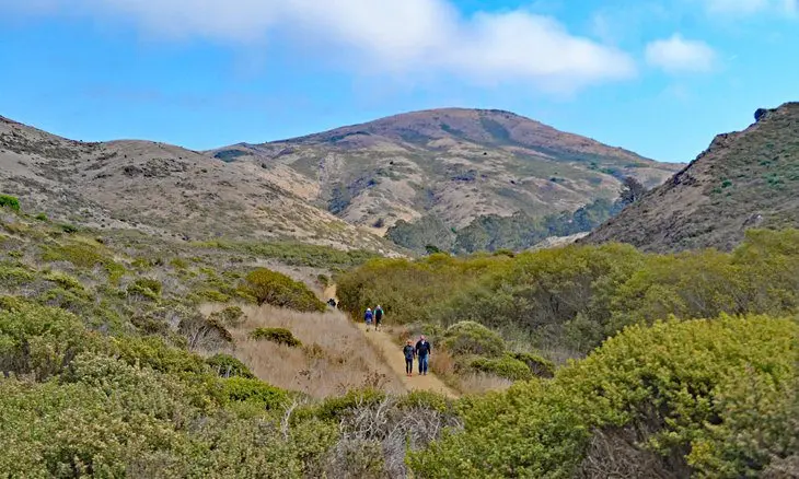 14 Top-Rated Campgrounds near San Francisco, CA